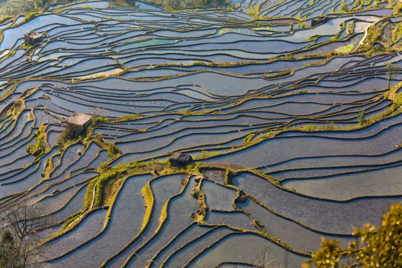 杭州教学显微镜在生物实验课堂中的典型应用场景分析