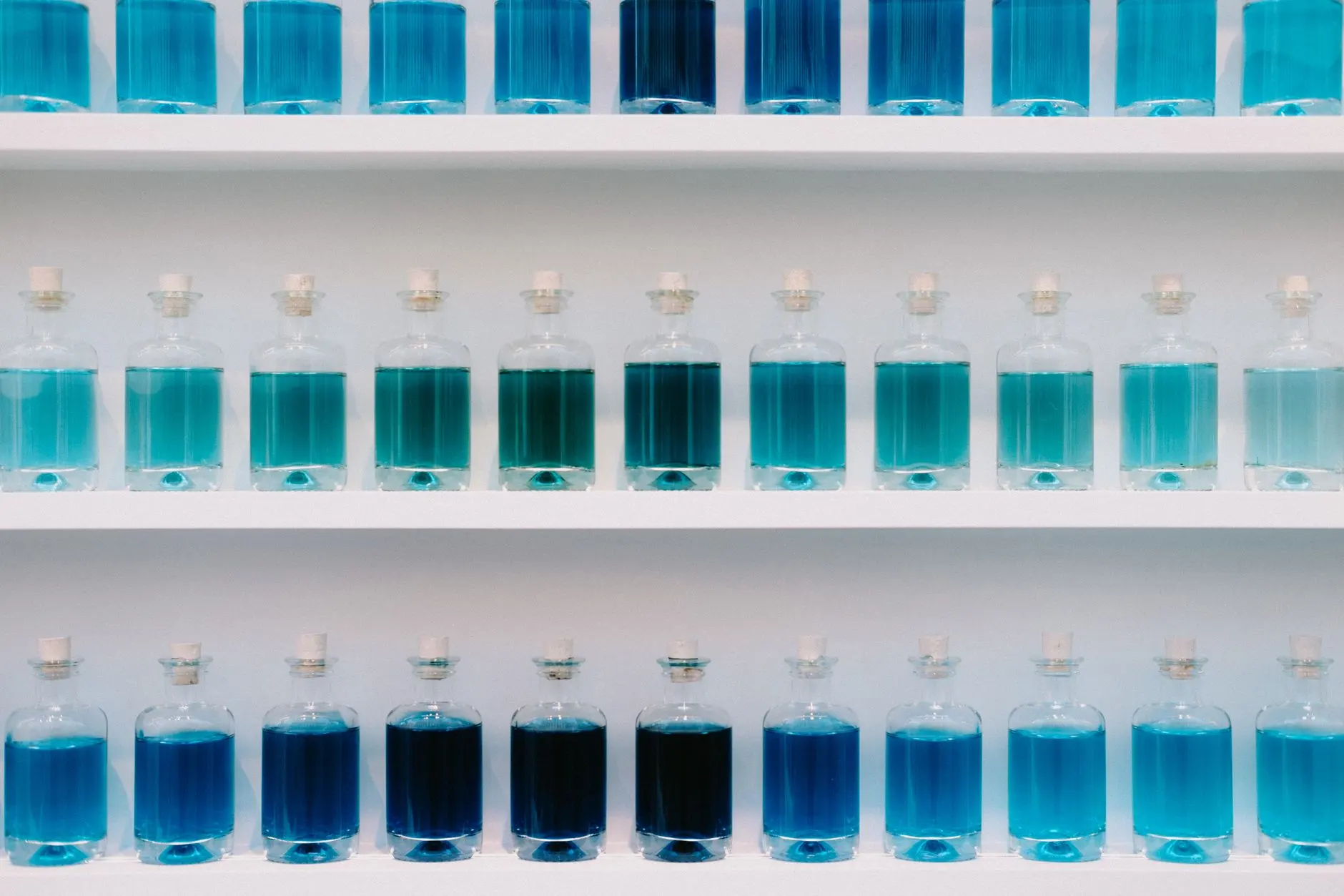 杭州基育科技教学显微镜在生物实验课堂中的实际应用案例