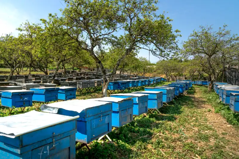 长三角地区学校实验室仪器采购趋势及生物显微镜选型建议