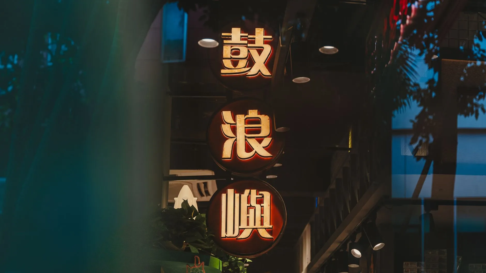 生物显微镜选购要点：不同放大倍数与物镜配置的对比分析