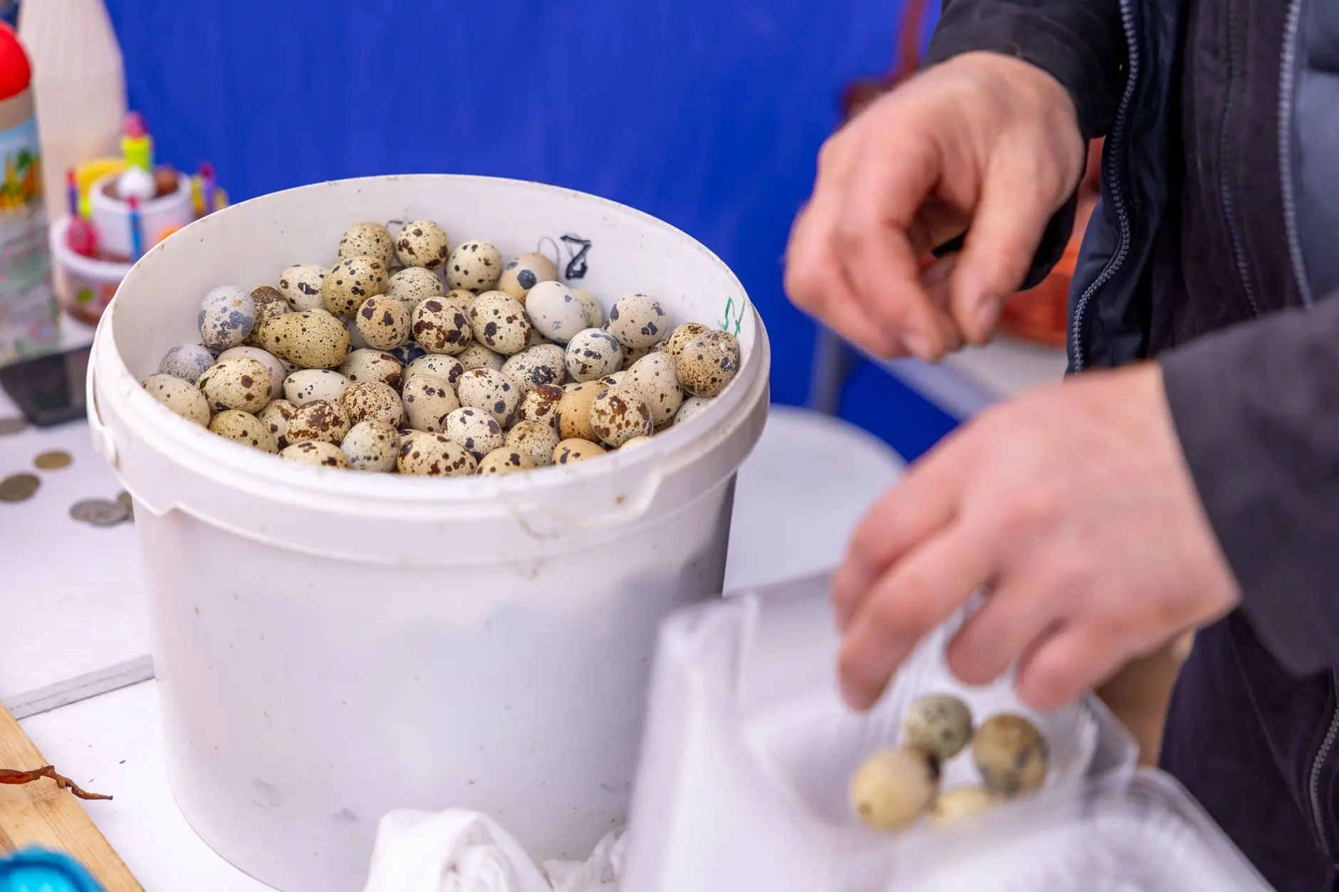 教学显微镜在初中生物实验教学中的创新应用案例解析