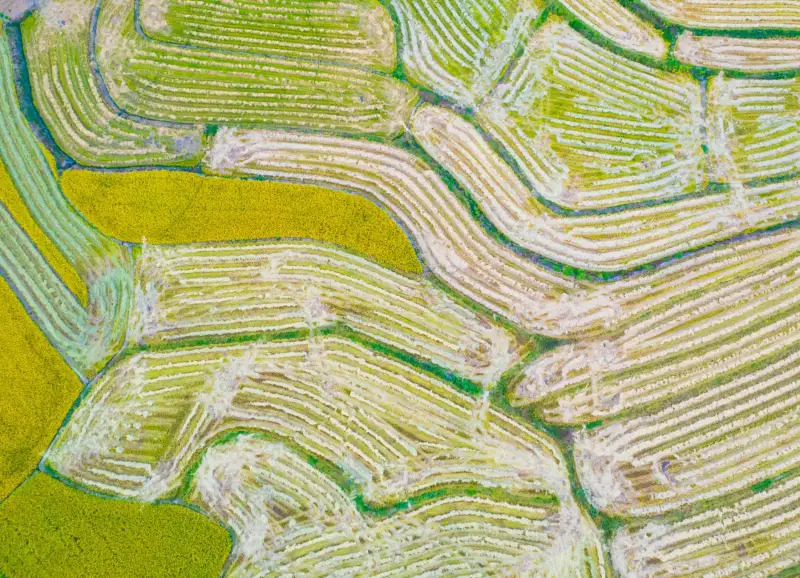 生物显微镜与电子天平在化学实验中的协同配置方案