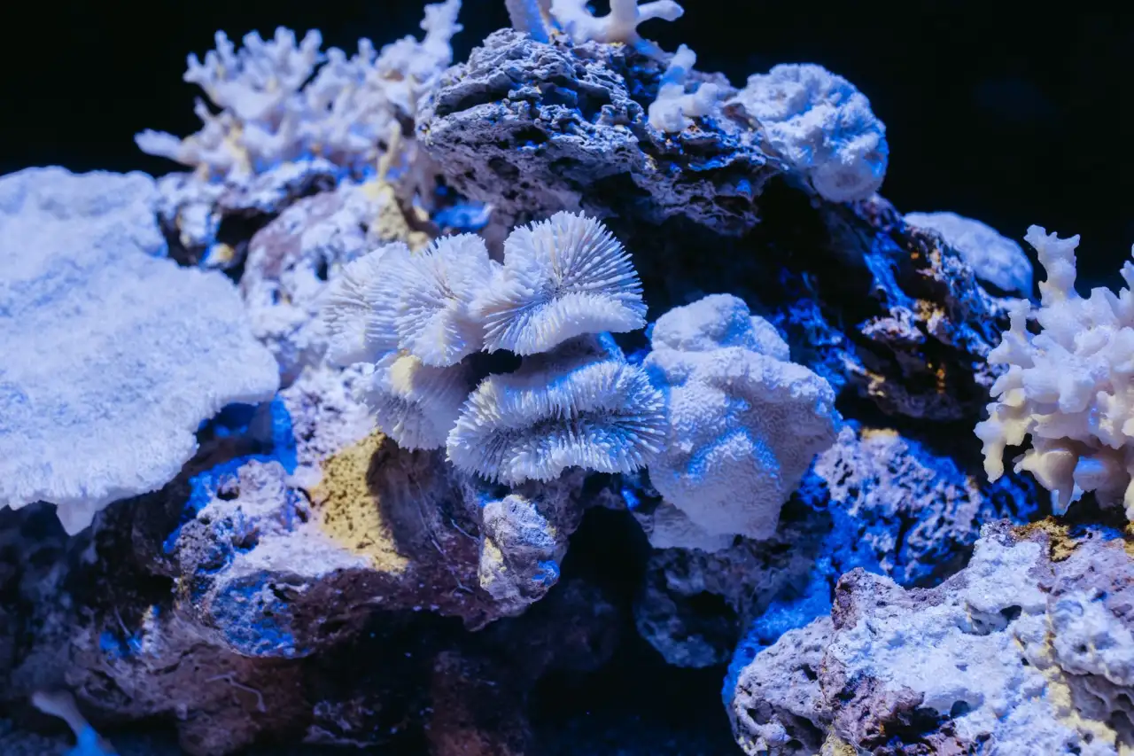 电子天平与恒温箱在化学实验课中的协同应用方案