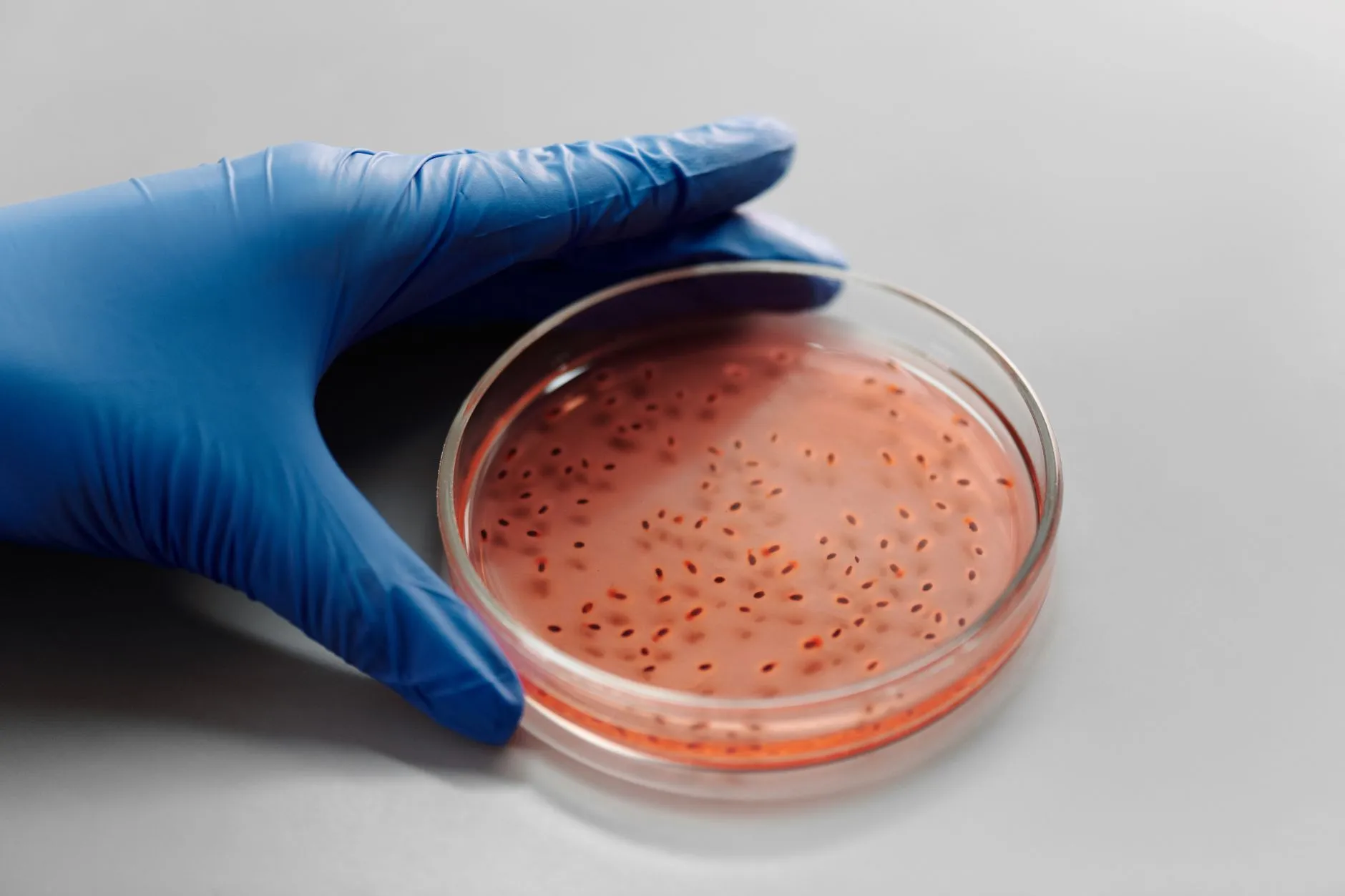 生物显微镜在初中生物实验教学中的典型应用场景分析