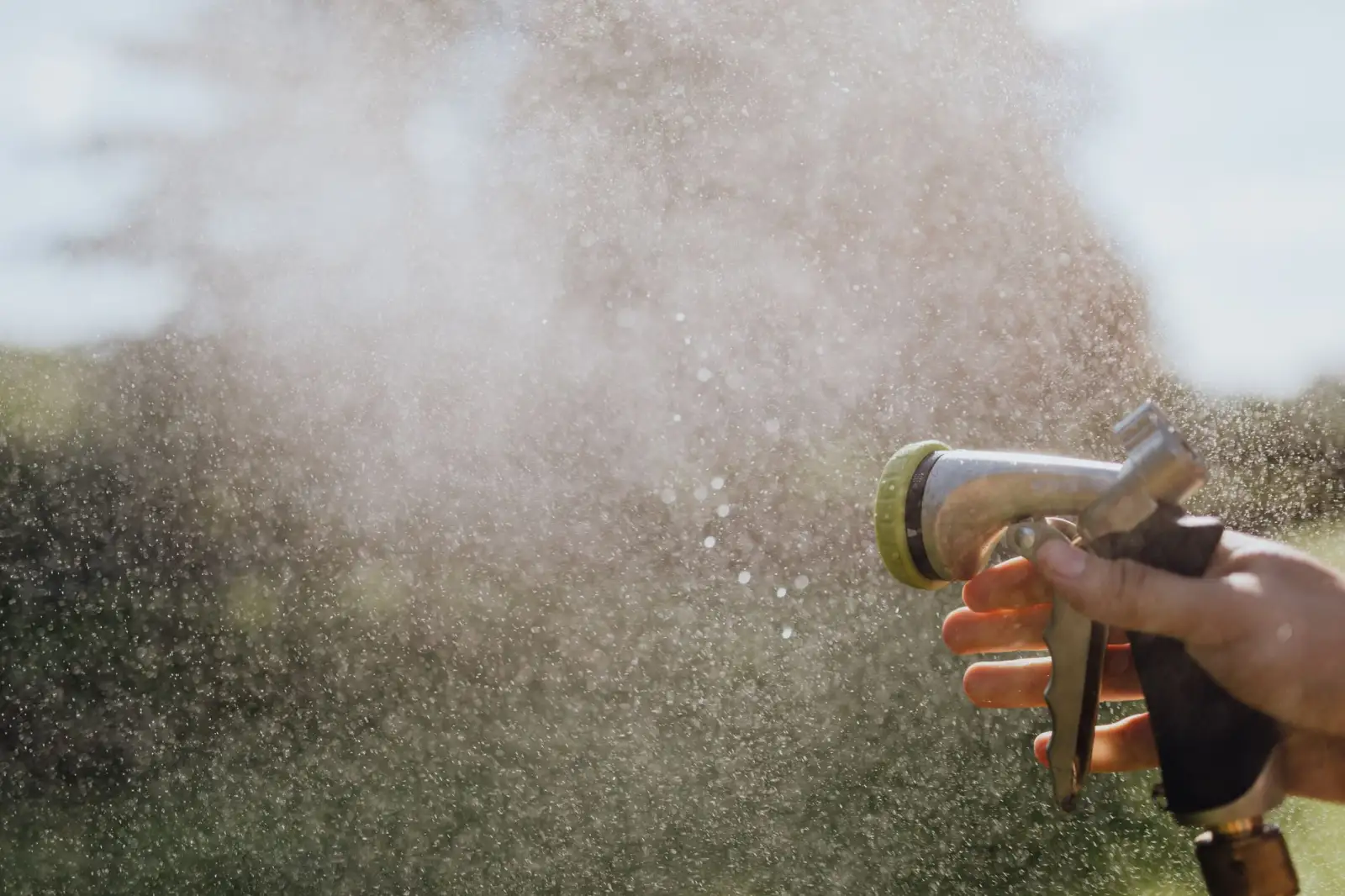 2024年教学显微镜主流型号参数与价格趋势解读