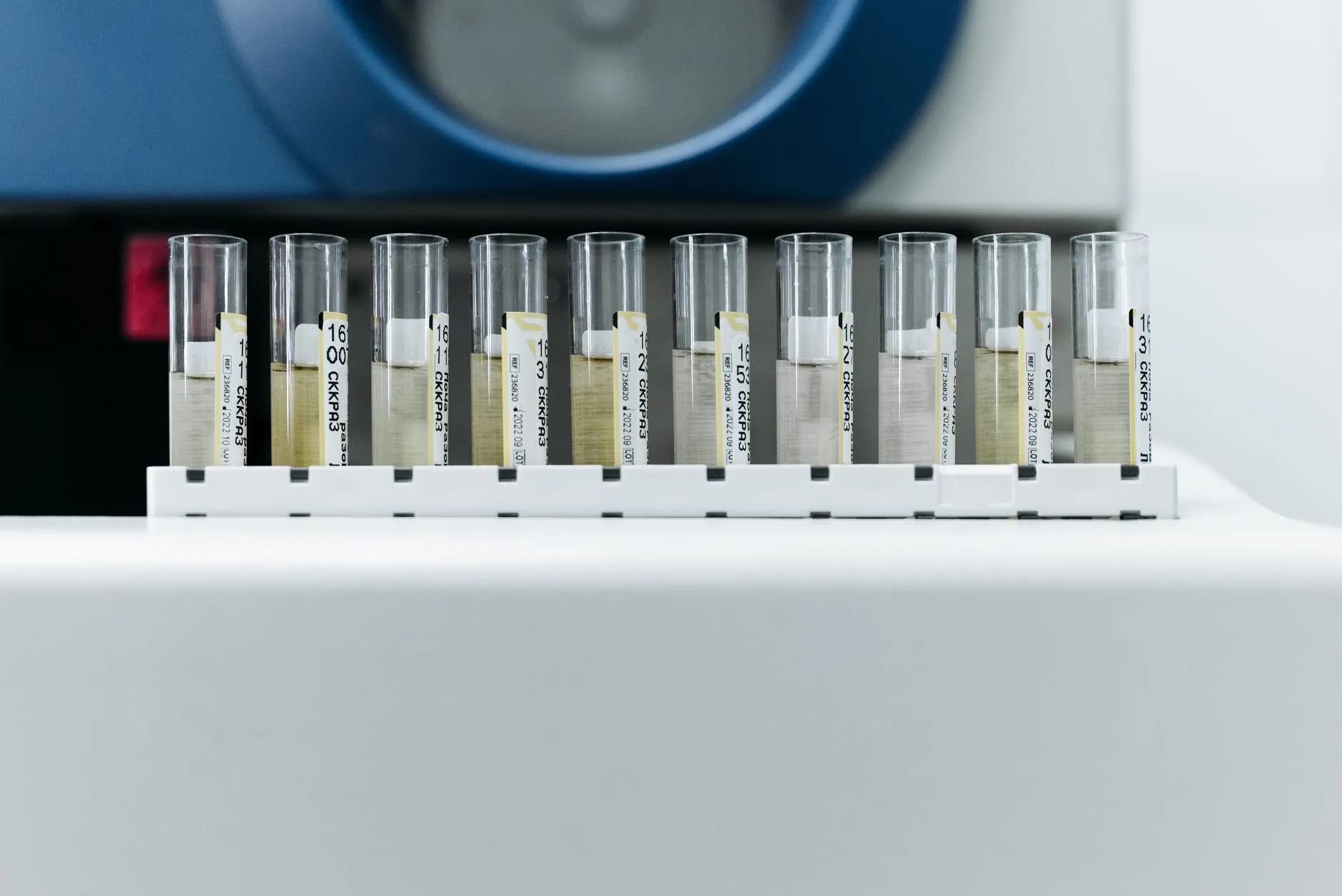 试管架等基础实验器材如何配合生物显微镜提升教学效果正文配图 1