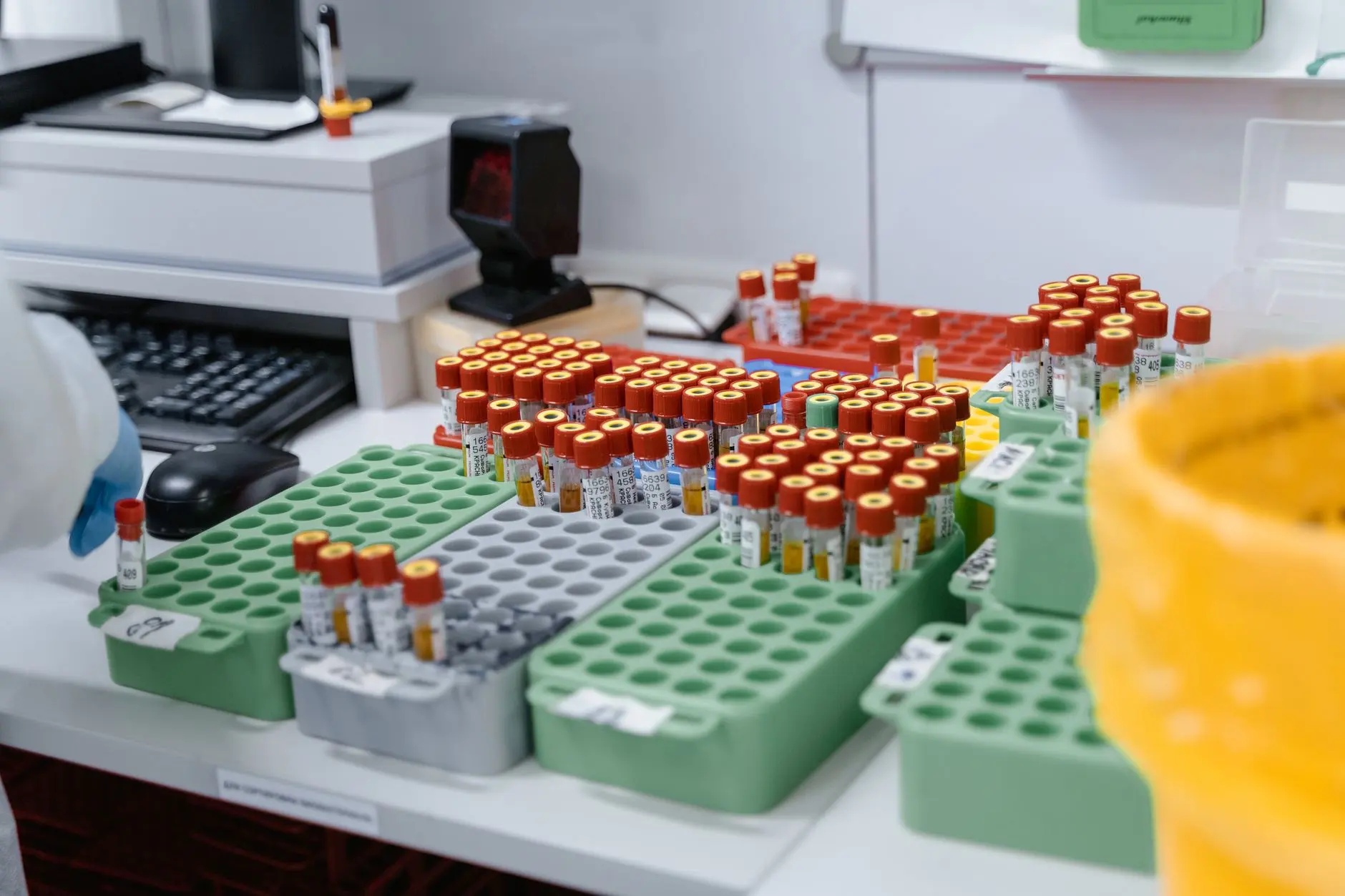 生物显微镜在初中生物实验教学中的典型应用场景分析