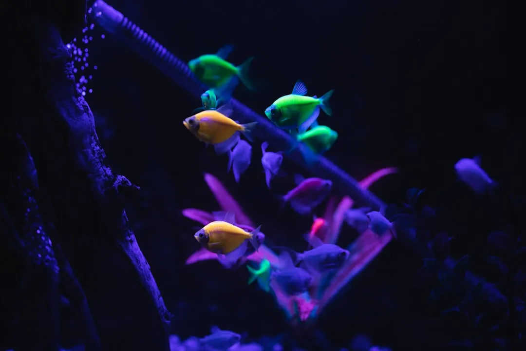杭州教学显微镜在生物实验课堂中的典型应用场景分析