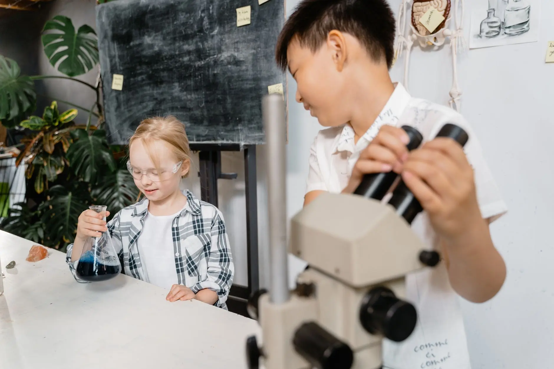 教学显微镜与生物显微镜在中学实验教学中的选型要点解析正文配图 2